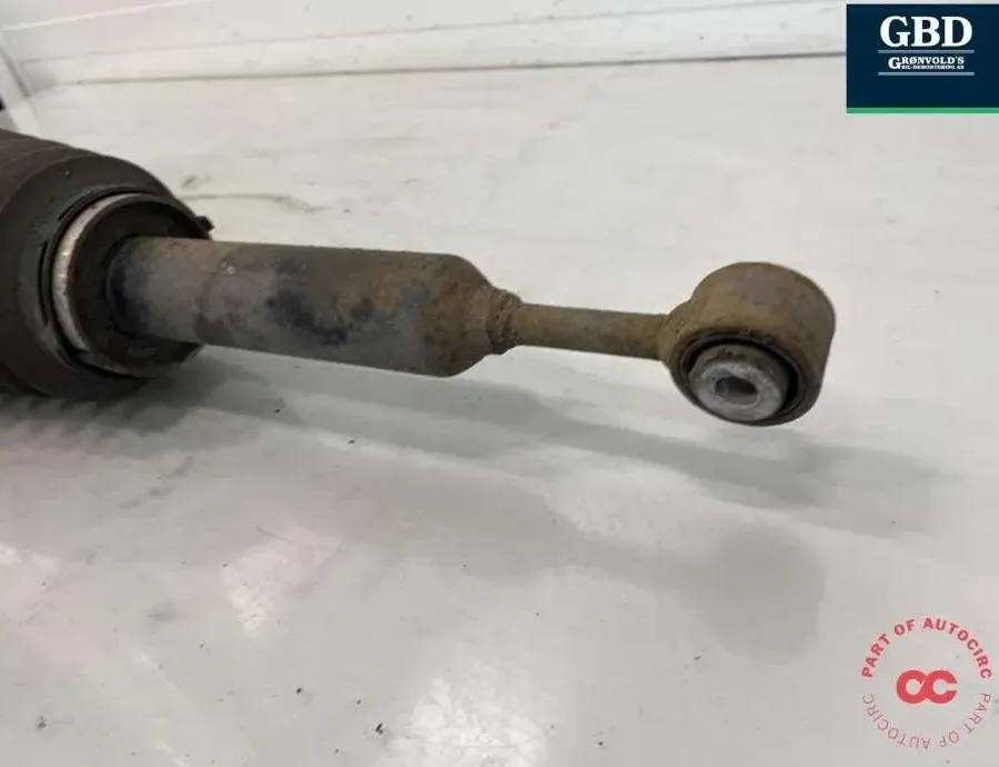 TESLA Model X 1 generation (2015-2024) Пневматическая подушка 1027461-00-g 32985708