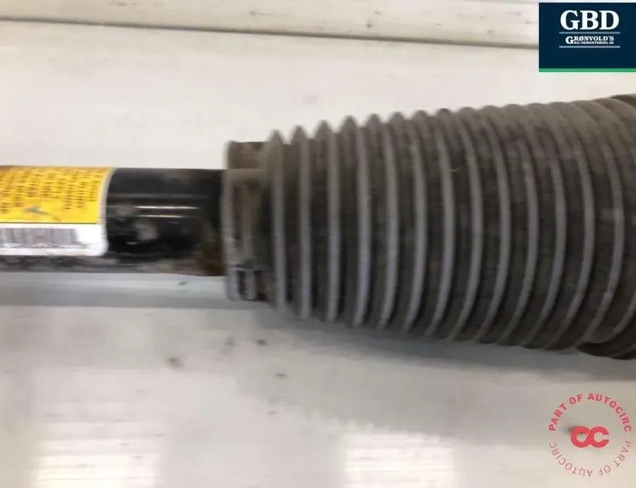 TESLA Model S 1 generation (2012-2024) Пневматическая подушка 6006351-04-a,6006351-04-c 32985987