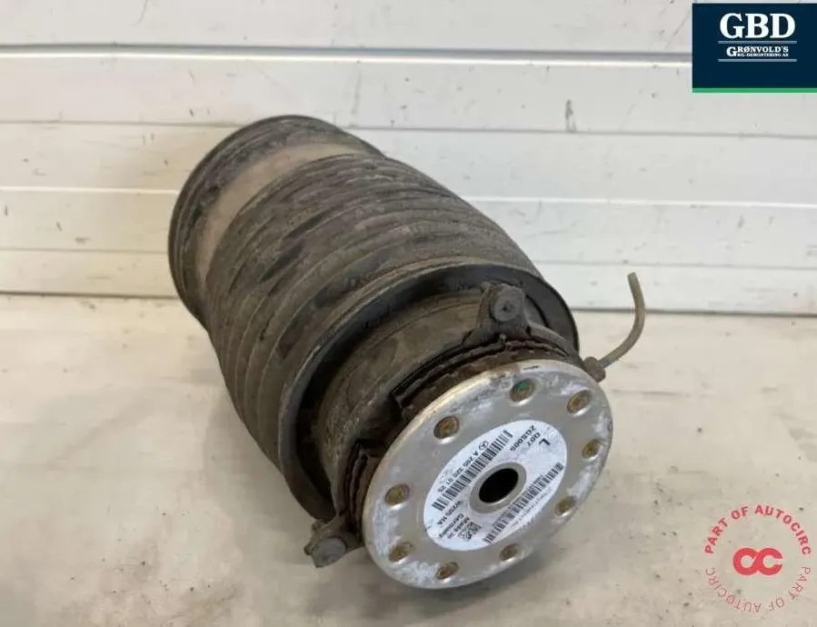 MERCEDES-BENZ EQC 1 generation (2018-2023) Air Spring a2053200125 32989341