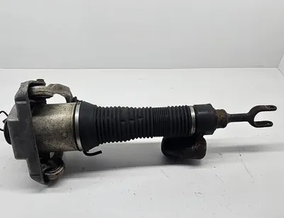 VOLKSWAGEN Phaeton 1 generation (2002-2016) Front Left Air Shock Absorber 166ATE04438AD0M,3D0616039T 30826829