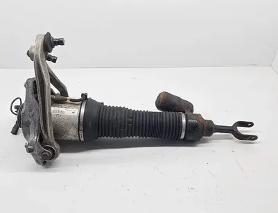 VOLKSWAGEN Phaeton 1 generation (2002-2016) Front Left Air Shock Absorber 166ATE04438AD0M,3D0616039T 30826829