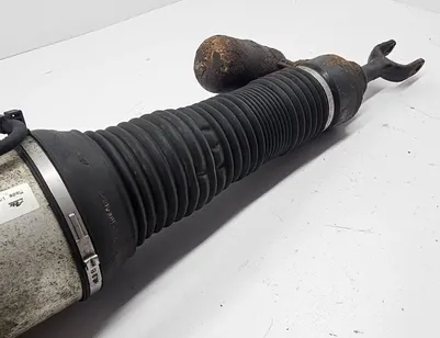 VOLKSWAGEN Phaeton 1 generation (2002-2016) Front Left Air Shock Absorber 166ATE04438AD0M,3D0616039T 30826829