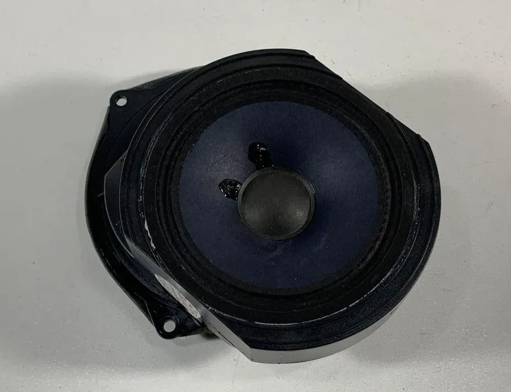 VOLKSWAGEN Phaeton 1 generation (2002-2016) Difuzora ușă dreapta spate 3D0035453A 30671373