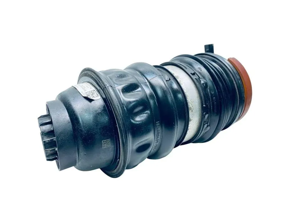 AUDI e-tron GT 1 generation (2020-2024) Rear Left Air Suspension Cushion 9J1616025D 34837275