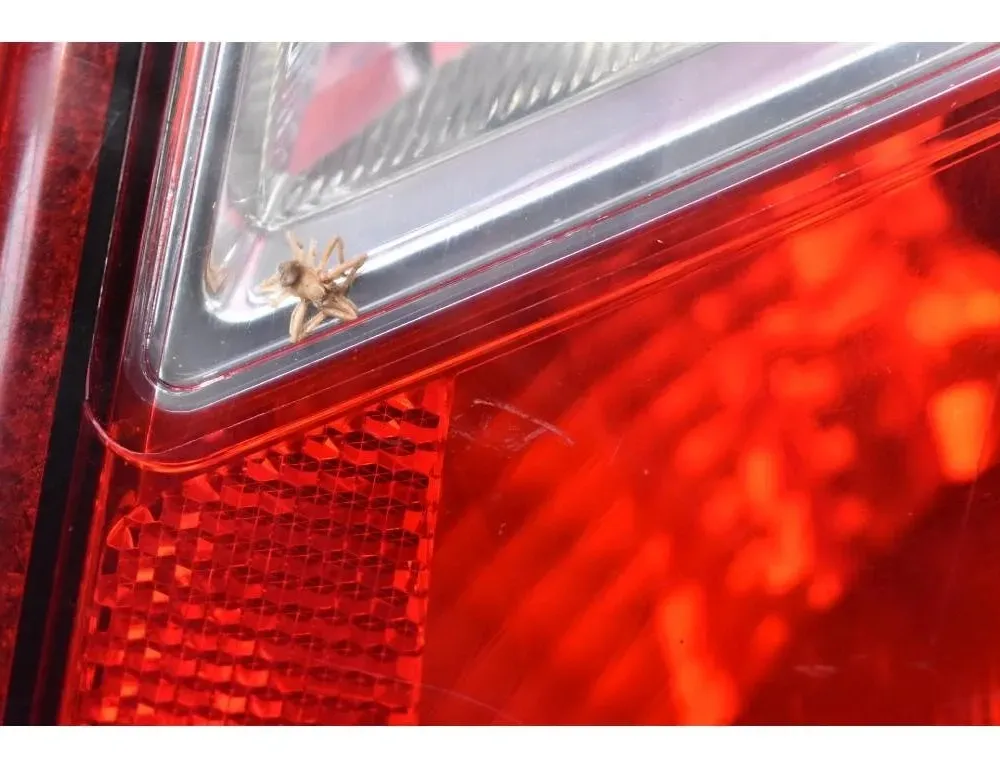 OPEL Corsa D (2006-2020) Rear Right Taillight Lamp 13188046 30821773