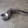 MAZDA 6 GG (2002-2007) Throttle Pedal 8V219F836AA 33850436