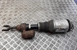 VOLKSWAGEN Phaeton 1 generation (2002-2016) Amortizor stânga față 3d0616039t 31408931