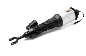 VOLKSWAGEN Phaeton 1 generation (2002-2016) pneumatic shock absorbers 3W5616040L,3W5616040M,3D0616040AC,3D0616040AD,3D0616040,3D0616040T,3D0616040AB,3D0616040Q,3D0616040P,3D0616040AA,3W5616040L,3D0616040AD,3W5616040M 30473213