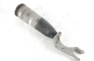 TESLA Model S 1 generation (2012-2024) Front Right Air Shock Absorber 103060801A 31932825