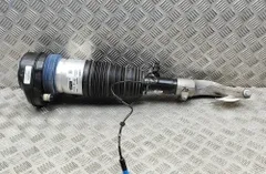BMW X7 G07 (2018-2024) Front Right Air Shock Absorber 7831561,5B69E20 34215036