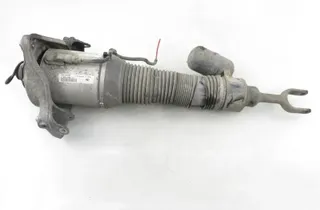 VOLKSWAGEN Phaeton 1 generation (2002-2016) Amortizor stânga față 3D0616039T 34256988