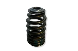 DODGE Challenger 3 generation (2008-2024) Springs Set 35008170